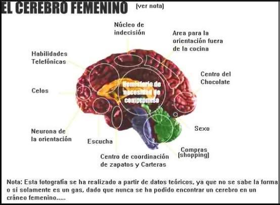 comentarios para hi5, myspace y metroflog