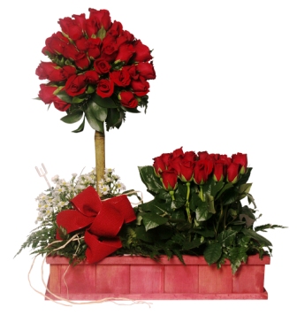 http://www.mydisplay.ws/imagenes/san-valentin-30.gif